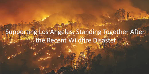 Supporting Los Angeles: Standing Together After the Recent Wildfire Disaster